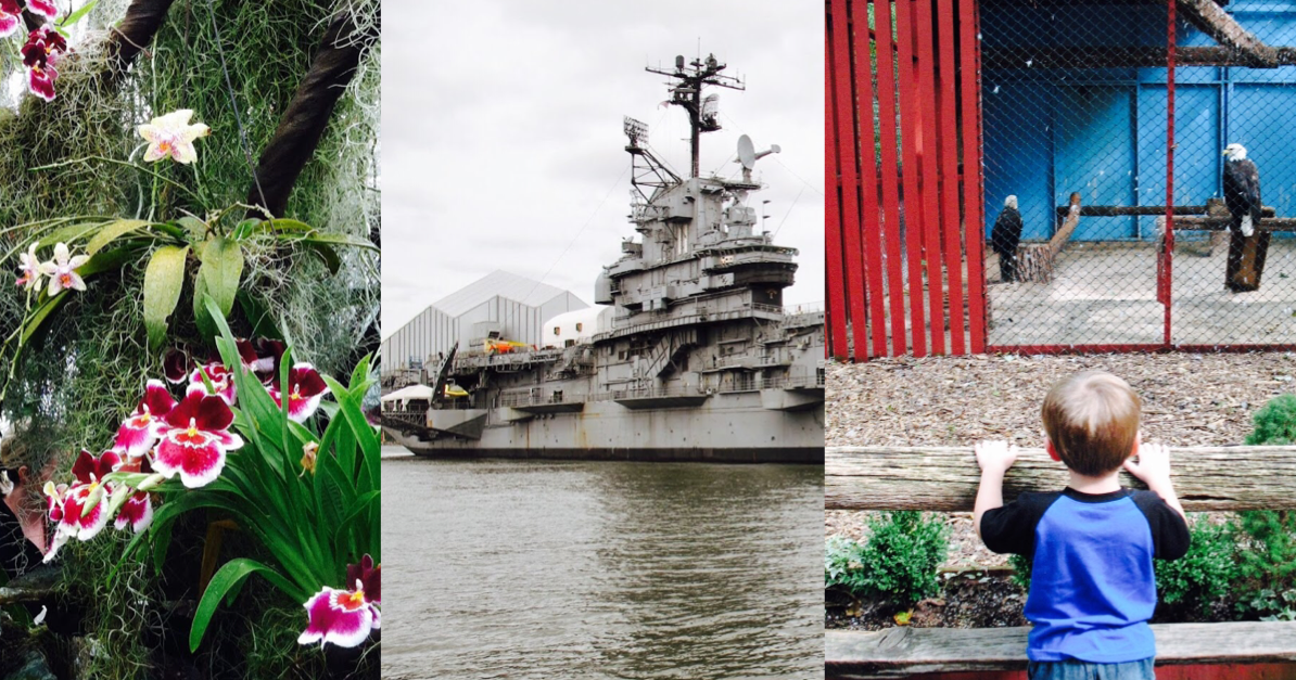 10 Fun Spring Day Trips in New Jersey (Pennsylvania and New York, too