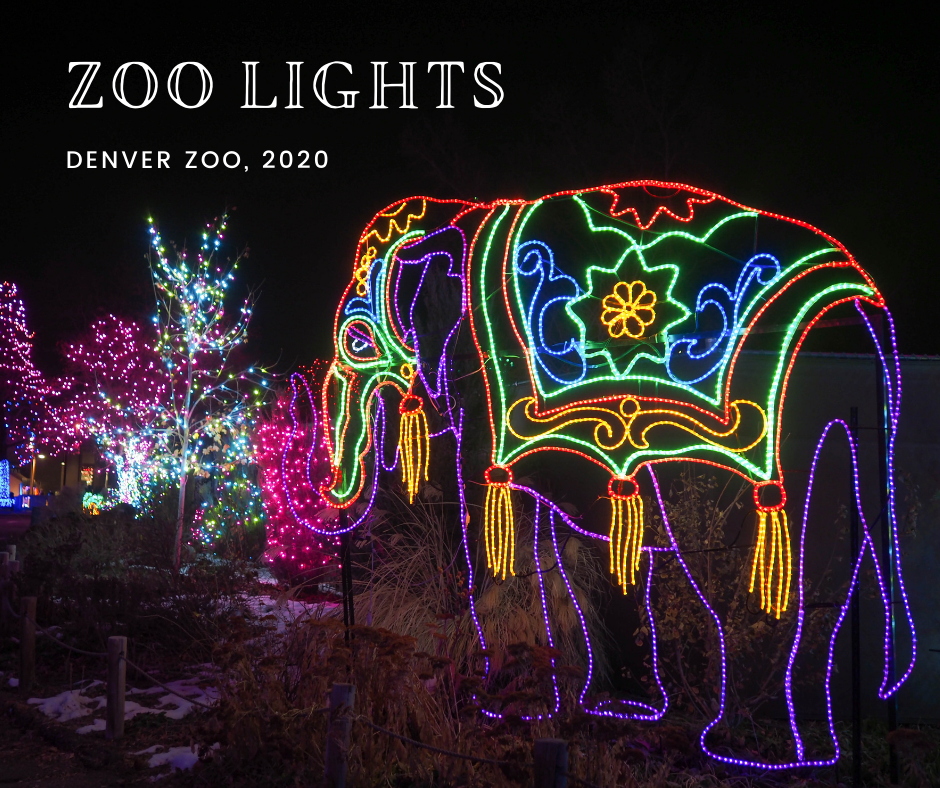 Best time to visit denver zoo(preferred time): Little Hiccups Denver Zoo Lights