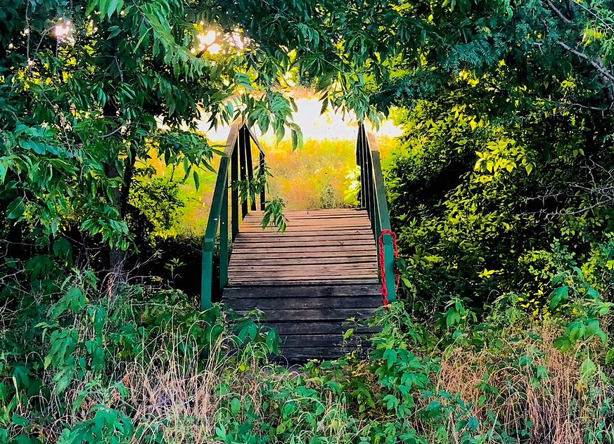 $550.00* includes water, sewer, electric (up to $50), lawn care, outdoor pest control, garbage and basic wifi sorry, we do not offer daily or weekly rates at this time. Southern Belle Ranch & RV Park in Terrell, TX Park Information