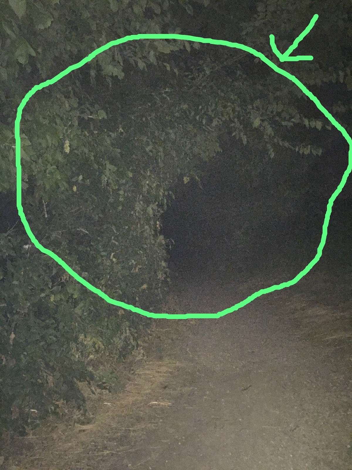 Available on philo, hulu, sling tv. Becky Vickers(BECKS) Everyday Ghost Hunters/Goatman's Bridge Ghost