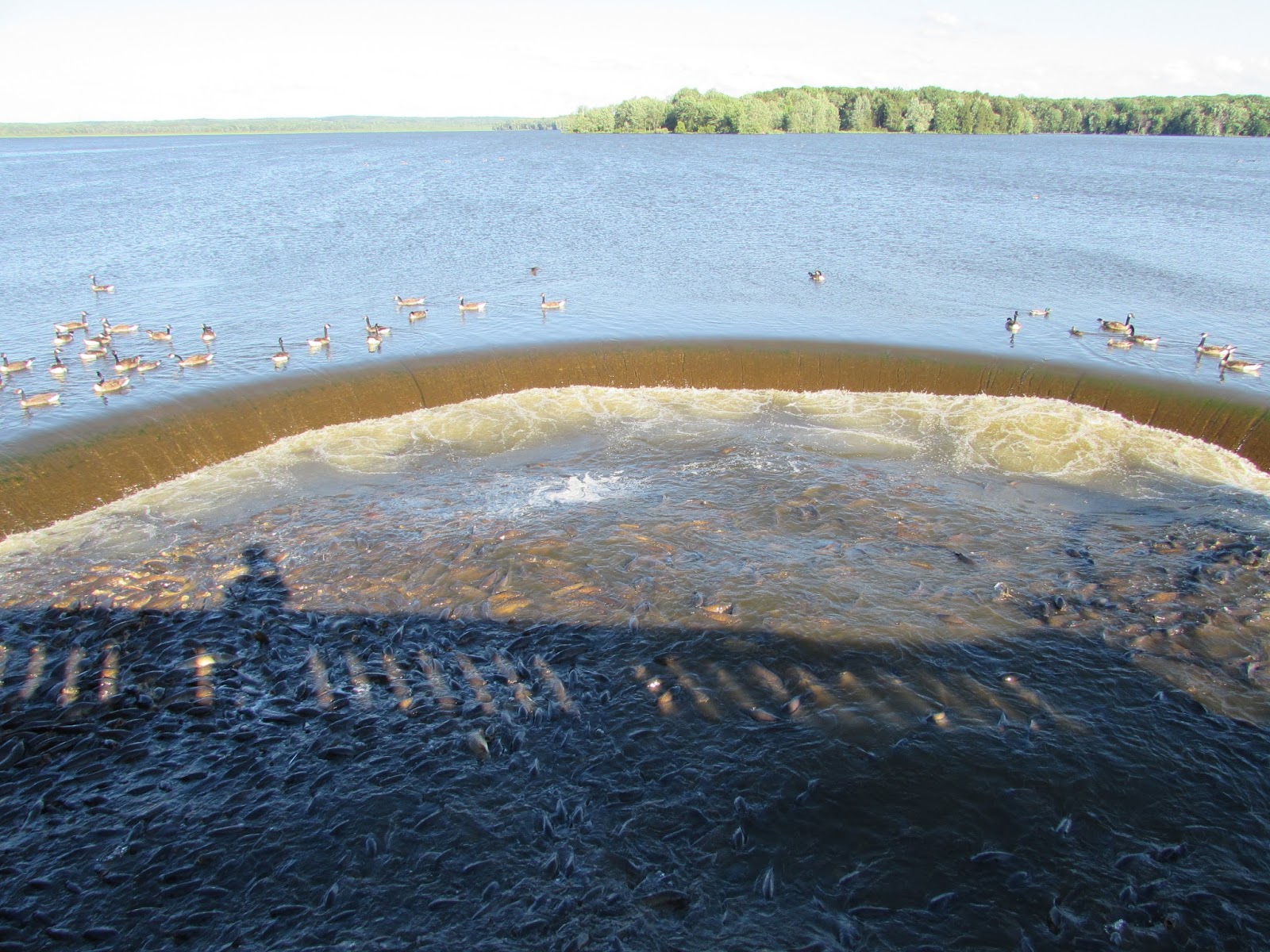 Friday and saturday 7 pm to midnight; Conneaut Lake Park Trip Report, June 2017 Coaster Talk No BS Zone