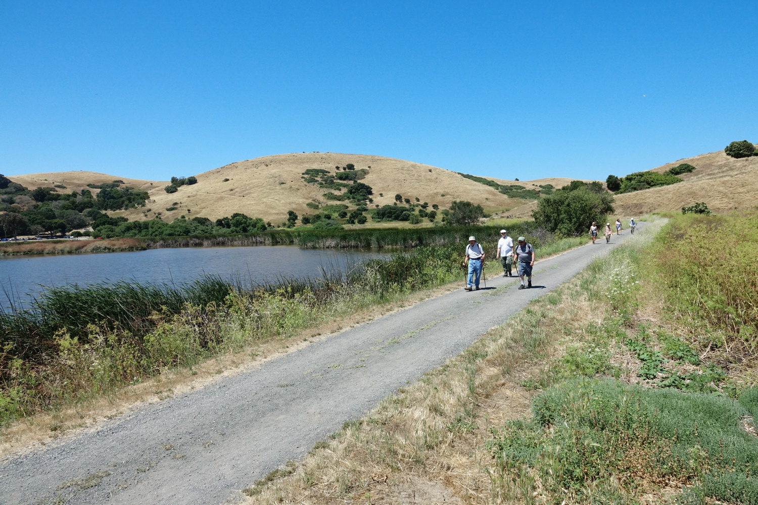 There is one (1) reservable site at coyote hills regional park. The Villages Hiking Club Coyote Hills Regional Park Hike