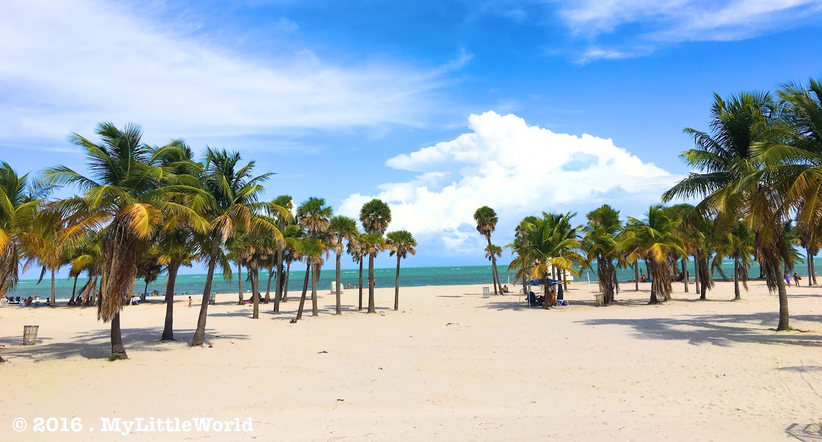 Web oct 5, 2023 updated oct 5, 2023. The Crandon Park Beach, Key Biscayne, Miami My Little World