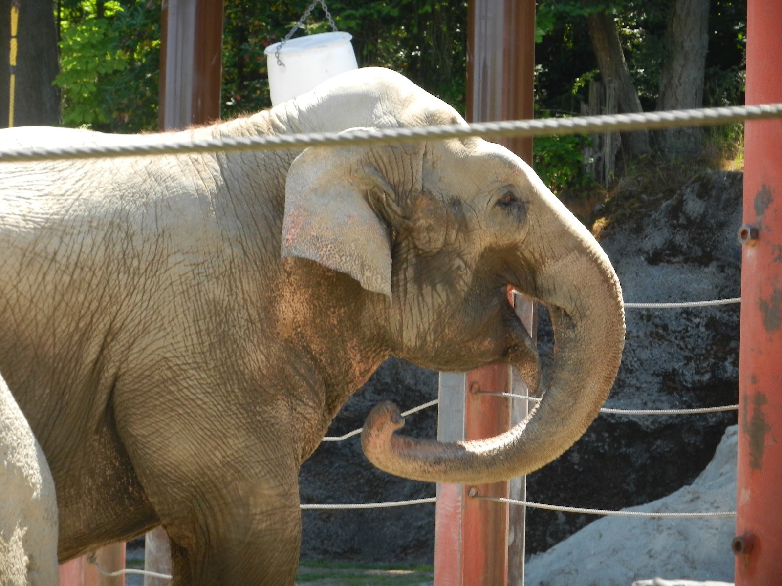 Groups of 25 oder more can save on their zoo visit. Williams Family Point Defiance Zoo