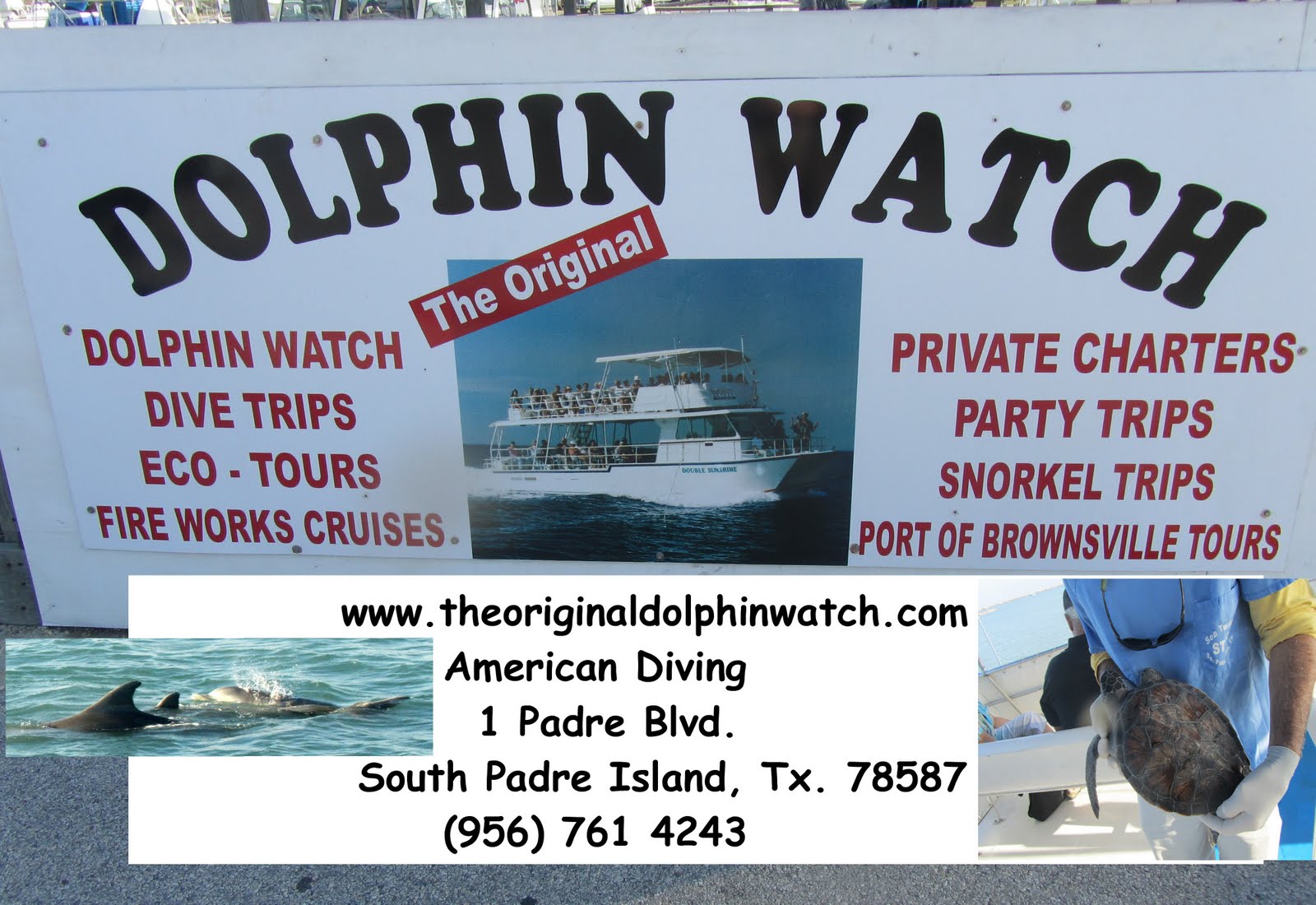 Web one of the most unique activities on south padre island is the dolphin watching tour. SPIroadrunneradventures The Original Dolphin Watch (American Diving Co.)