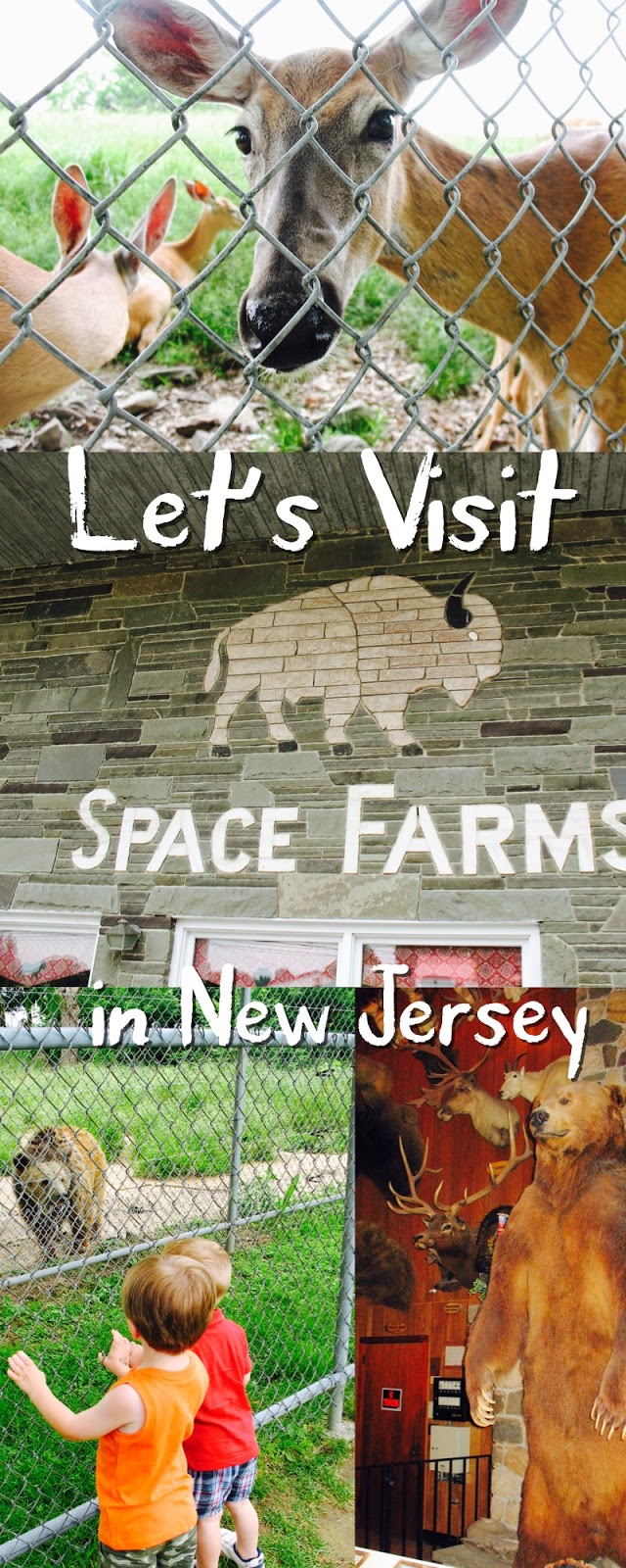 Come visit space farms new jersey museums and step back into american history. A Review of Space Farms Zoo & Museum The Jersey Momma