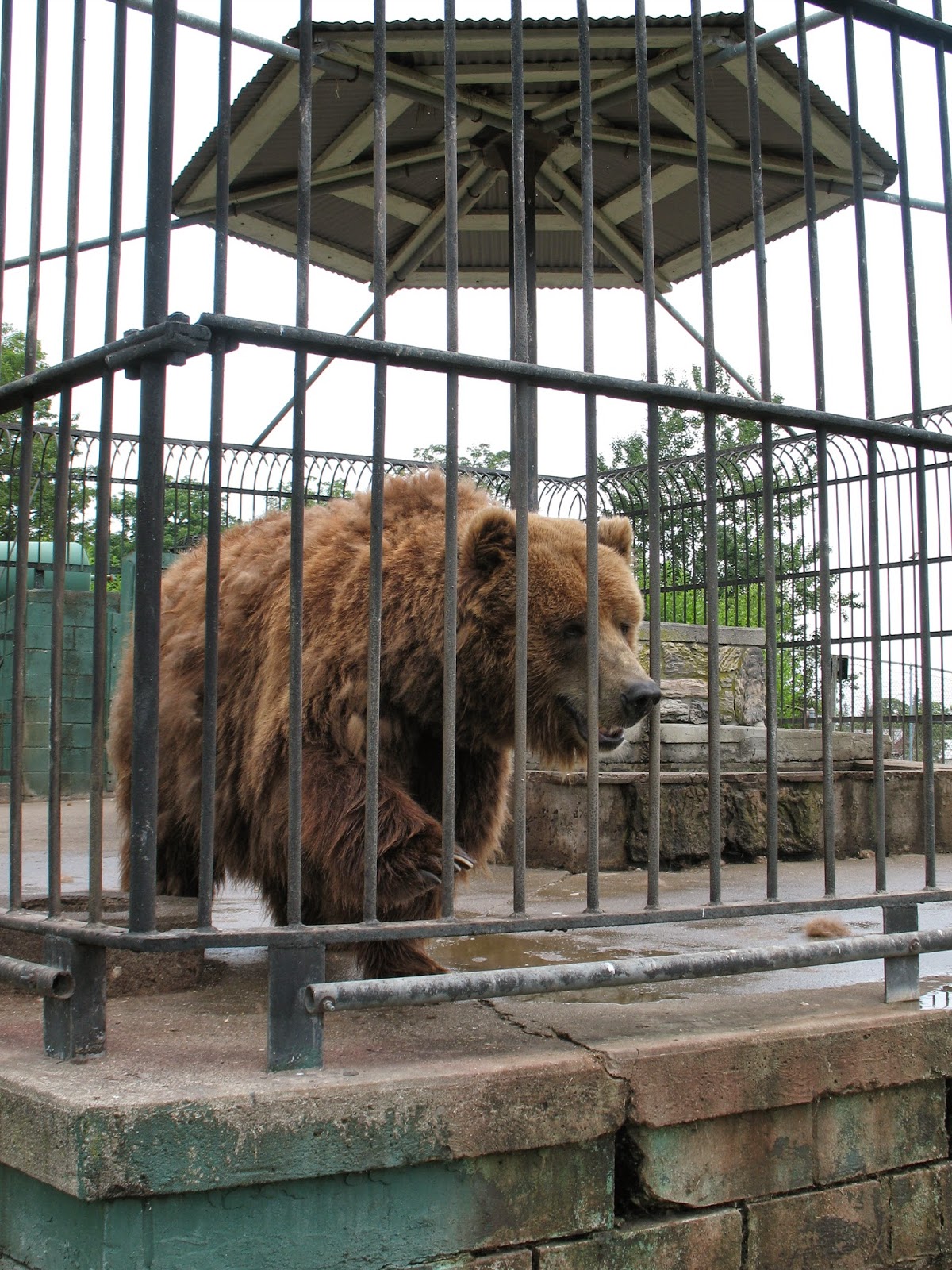 See 235 reviews, articles, and 92 photos of space farms zoo & museum, ranked no.5 on tripadvisor among 13 attractions in sussex. The Jersey Momma A Review of Space Farms Zoo & Museum