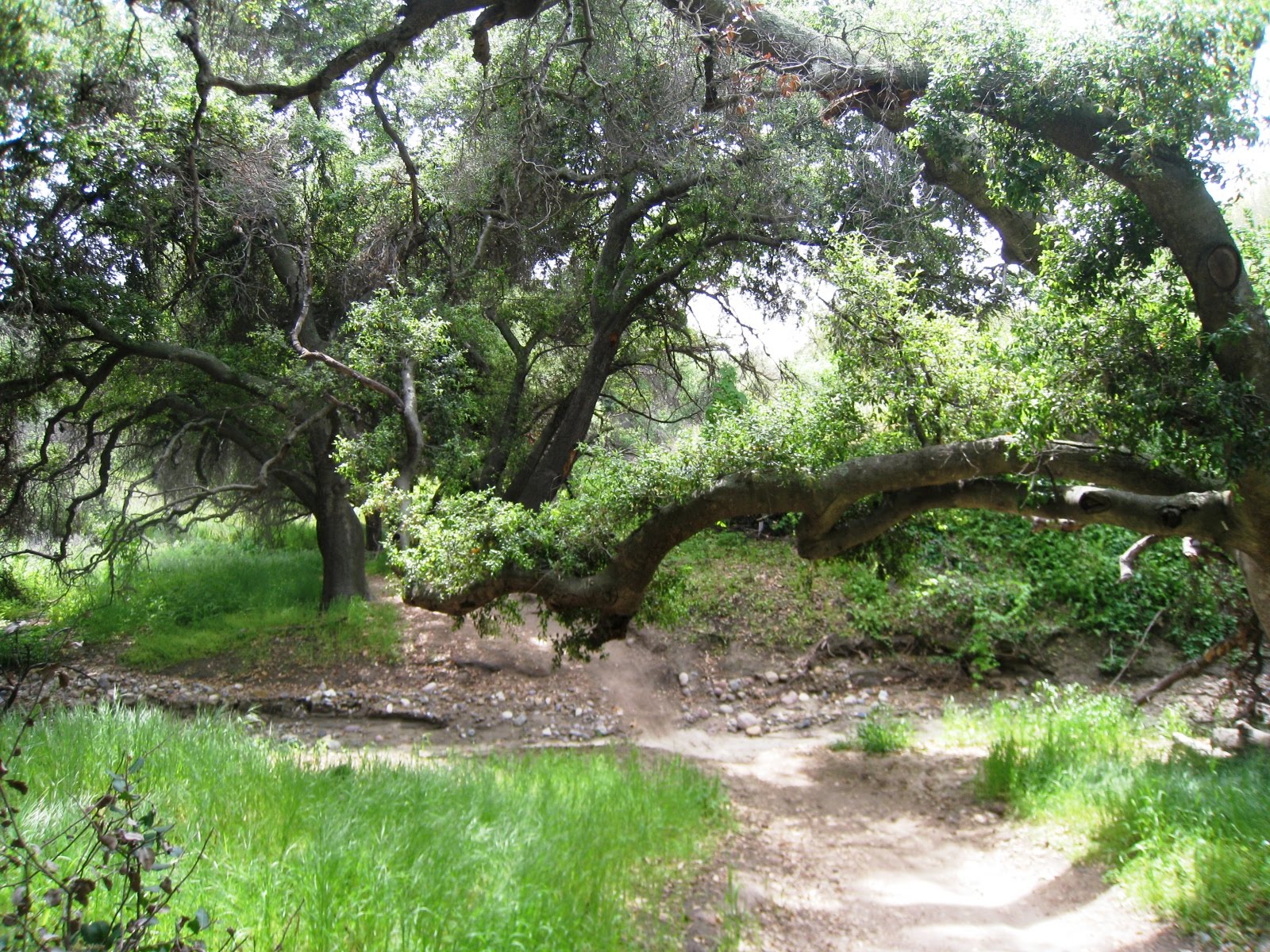 Alltrails has 18 great trails for hiking, birding, and walking and more. Brian and Ashley's Hiking Blog! Whiting Ranch Wilderness Park (Portola