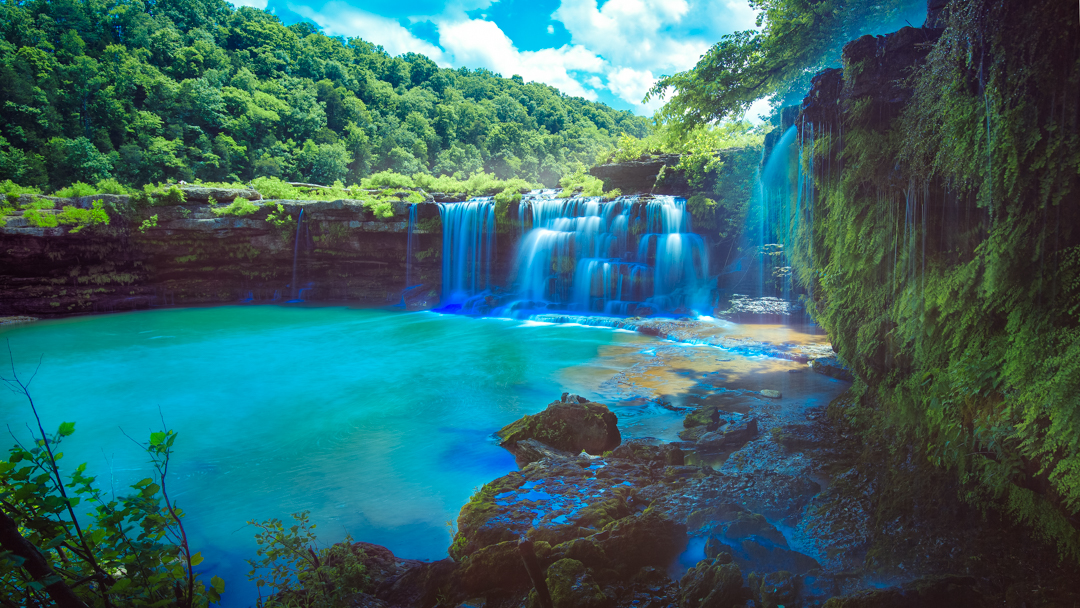Pack your hiking gear, grab your camera, and embark on an adventure that's sure to leave you with lasting memories of tennessee's natural beauty. Nashville's Radnor Lake named Tennessee's Park of the Year! — Tristar